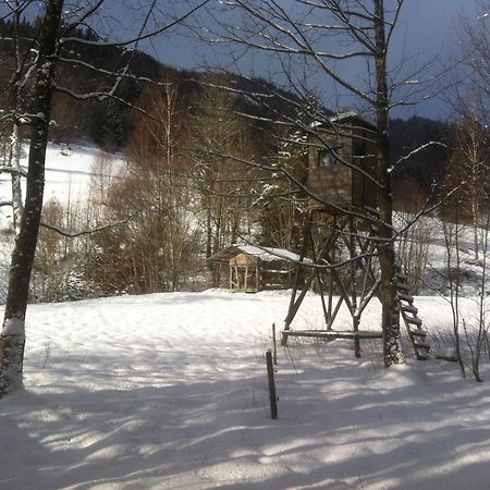 Ferienwohnung Haus Edeltraud Im Suedschwarzwald, Grosse, Helle, Ruhige Souterrain-Whg, Hunde Geeignet, Mit 2 Fahrraedern, 3 Baeckereien Mit Fruehstueck, 2 Lebensmittel-, 1 Italien-Pastalaeden, Kontakt Peter Heubueschl Aus Loerrach Райнфельден Экстерьер фото