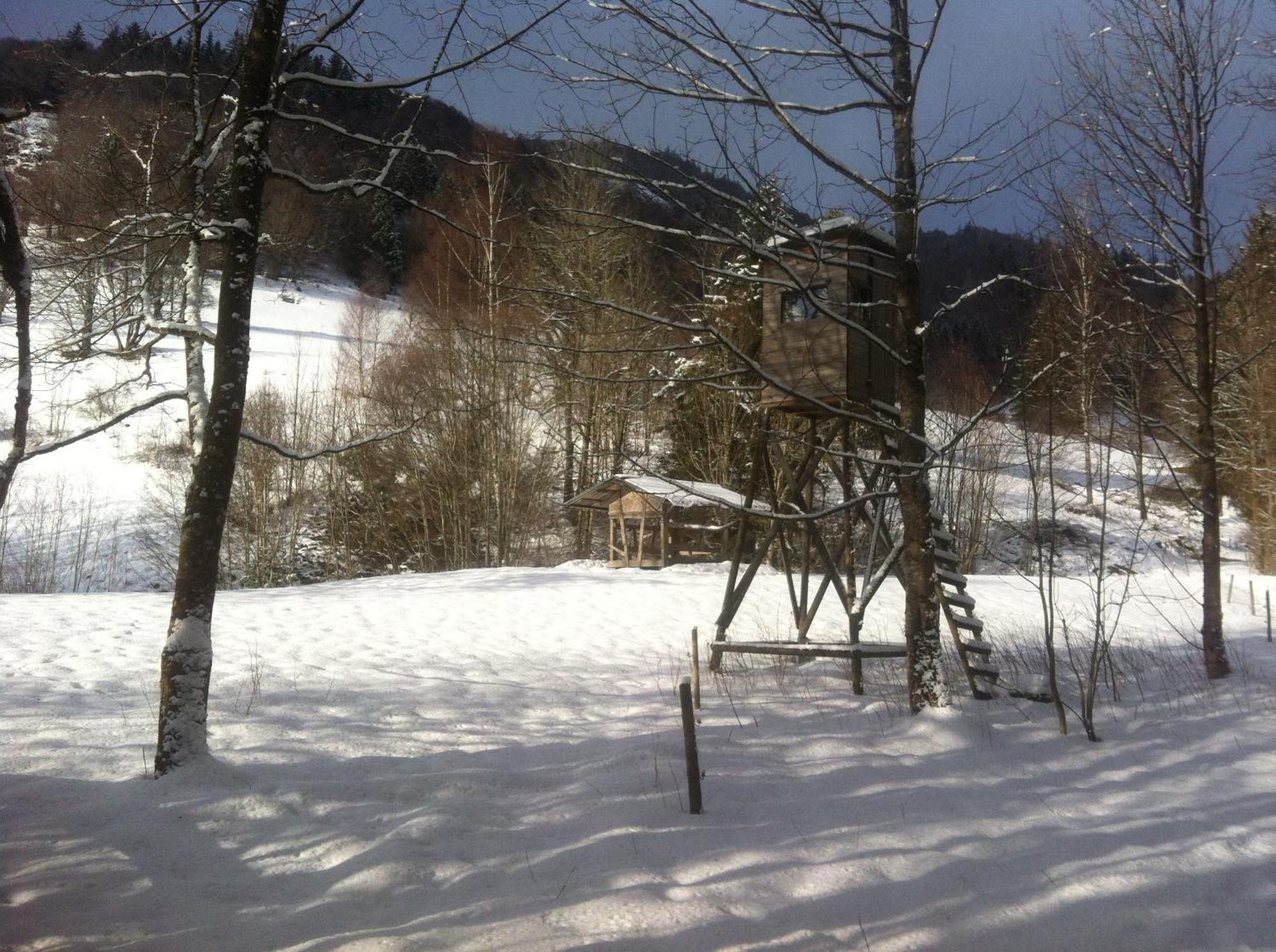 Ferienwohnung Haus Edeltraud Im Suedschwarzwald, Grosse, Helle, Ruhige Souterrain-Whg, Hunde Geeignet, Mit 2 Fahrraedern, 3 Baeckereien Mit Fruehstueck, 2 Lebensmittel-, 1 Italien-Pastalaeden, Kontakt Peter Heubueschl Aus Loerrach Райнфельден Экстерьер фото